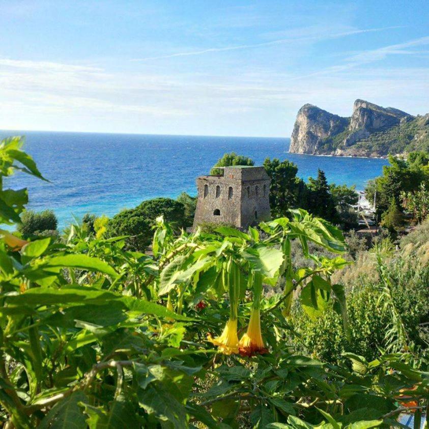 Camping Villaggio Nettuno ネラノ エクステリア 写真